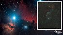 Челябинский астрофотограф снял созвездие Ориона в полях Еткульского округа