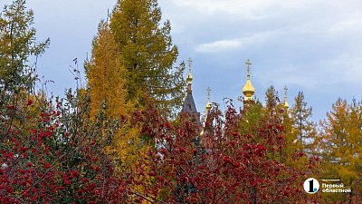 Прогрев до +19 градусов пообещали синоптики на Южном Урале 15 октября