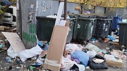 Жители Ленинского района Челябинска ужаснулись виду контейнерных площадок