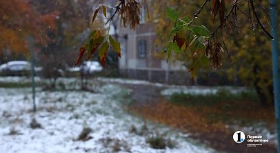 Жителей Челябинской области ждут шквалистый ветер и дождь со снегом 19 октября