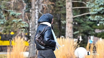 Прохладную и ветреную погоду ожидают в Челябинской области 20 октября