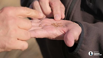Семейное предприятие «Хлебинка» развивает агробизнес с технологическим укладом