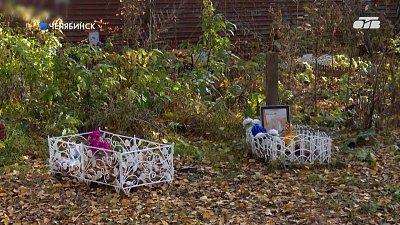 В Челябинске стихийный некрополь животных вплотную подобрался к жилым домам