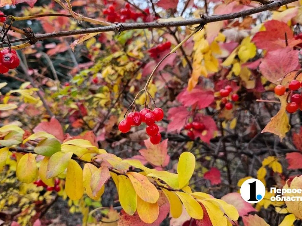 Вторая декада октября на Южном Урале была на 3–6 градусов теплее нормы