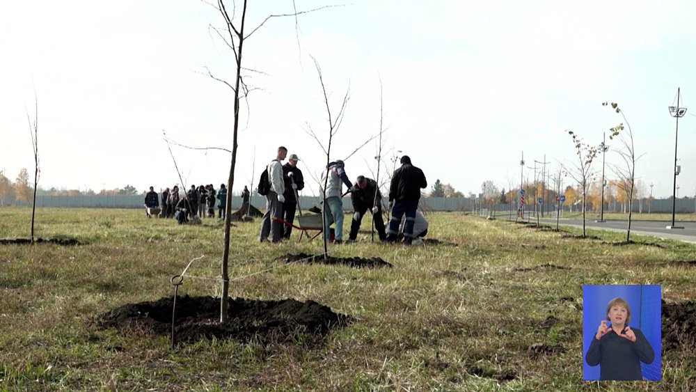 Парк «Притяжение» в Магнитогорске становится зеленее