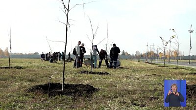 Парк «Притяжение» в Магнитогорске становится зеленее