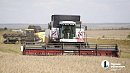 Фермеры Челябинской области получили 39 млн рублей грантовой поддержки