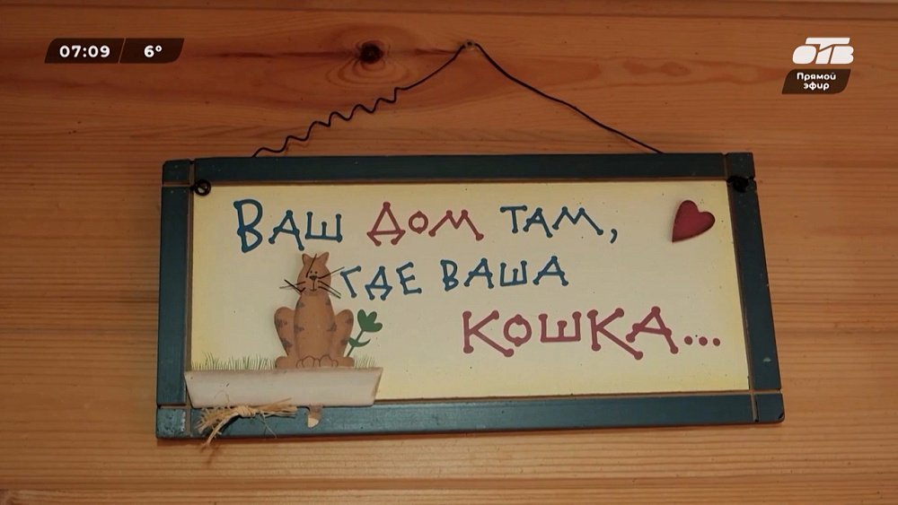 Кто помог усатым-полосатым? — в сюжете «Кошкин дом: перезагрузка»