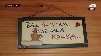 Кто помог усатым-полосатым? — в сюжете «Кошкин дом: перезагрузка»