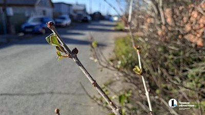 В Челябинской области 28 октября воздух прогреется до аномальных +16 градусов