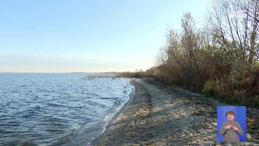 В Челябинске во Второе озеро выпустили мальков белого амура