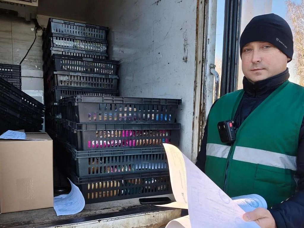 В Челябинской области запретили продажу 74 кг мороженого без документов