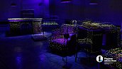 Около 20 тысяч человек посмотрели инсталляцию «Биостанция» в Миассе