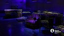 Около 20 тысяч человек посмотрели инсталляцию «Биостанция» в Миассе