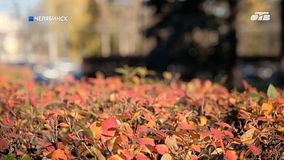 Южноуральцам рассказали, как распознать осеннюю депрессию