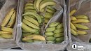 Бананы в России подорожают к новогодним праздникам