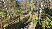 Пожароопасный сезон в лесах Челябинской области закроют 5 ноября