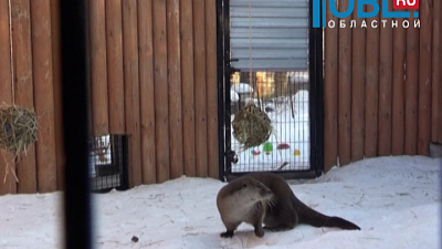 Ваня предсказал раннюю и теплую весну