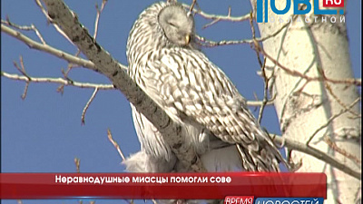 Время новостей. Миасс от 24.02.2015