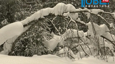 В Челябинской области прогнозируют сильный паводок