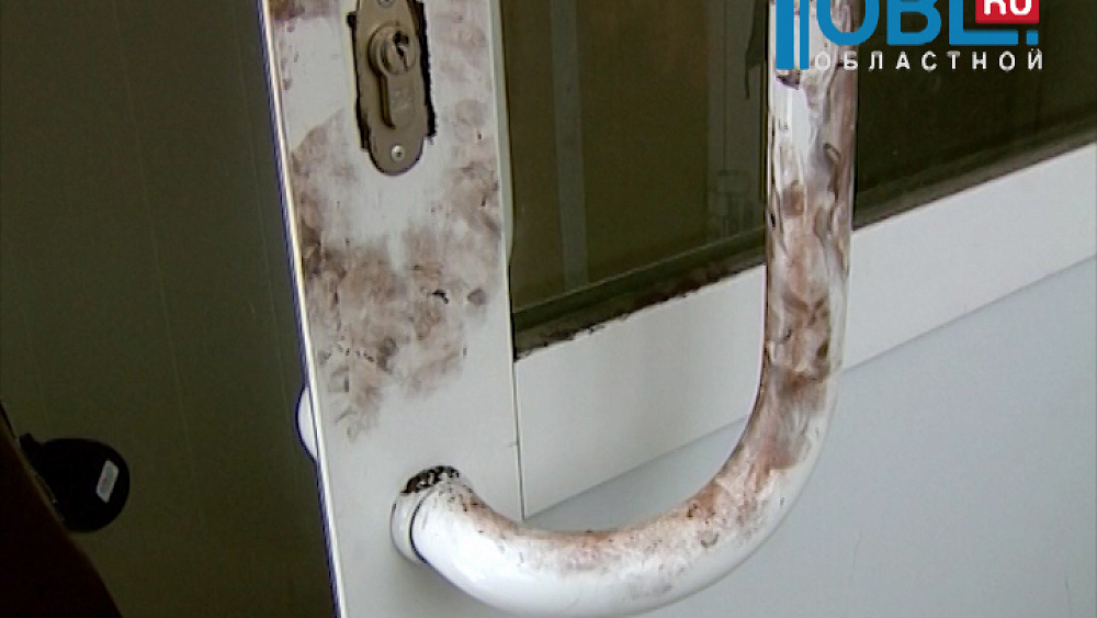 Происшествия дня 05.02.2016