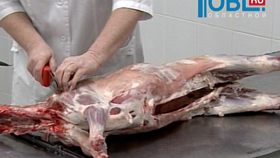 В Челябинске принимают меры, чтобы люди не заразились сибирской язвой