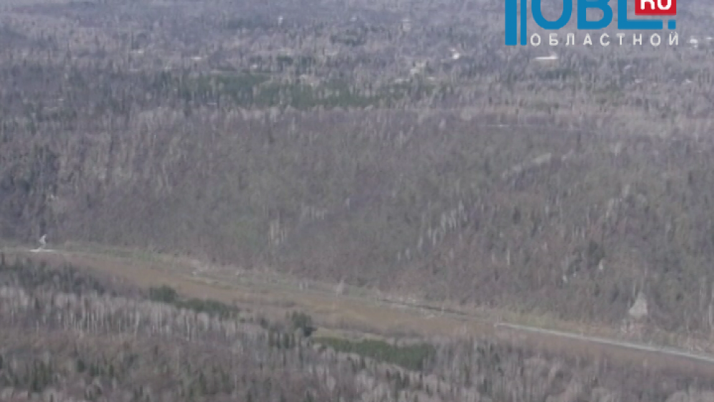 Тепличный комплекс в Аше построят к 2020 году