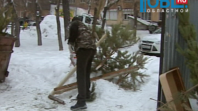 Горэкоцентр проводит рейд по елкам