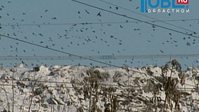 Проект строительства полигона под Копейском не прошел экологическую экспертизу