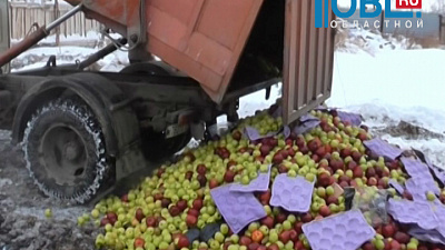 В области уничтожена 21 тонна яблок и груш из Польши, Германии, Италии и Бельгии