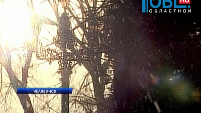 Каждый третий челябинец готов отказаться от новогодних каникул 