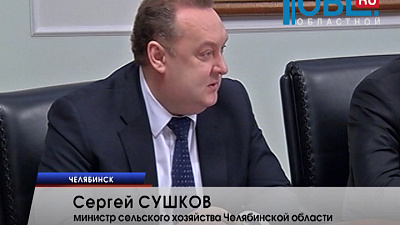 Предновогодние продукты стоят дешевле, чем год назад