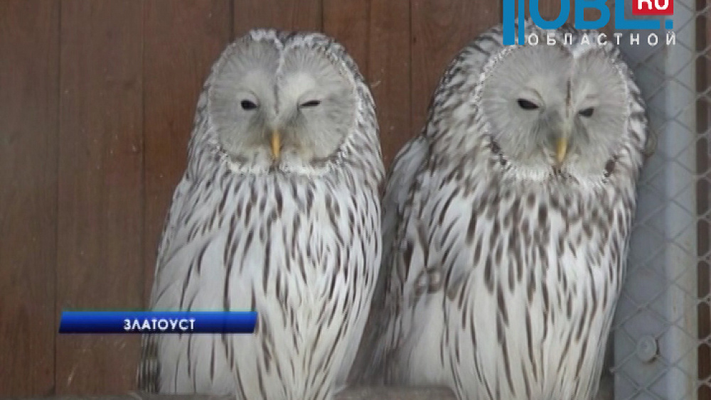 В парке Таганай открыли резиденцию Деда Мороза