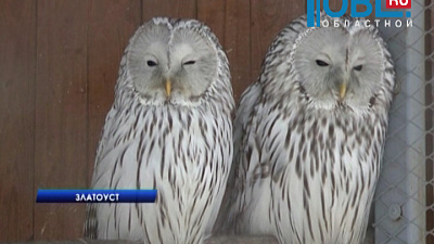 В парке Таганай открыли резиденцию Деда Мороза