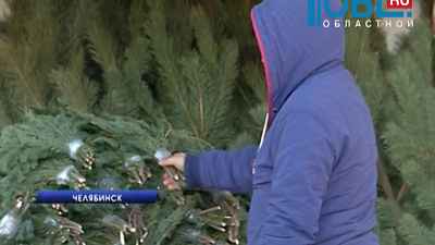На улицах Челябинска начали продавать пихты и сосны