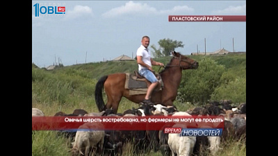 Овечья шерсть востребована, но фермеры не могут ее продать