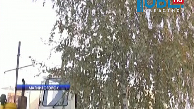 На улицах города до сих пор стоят березы с зелеными листьями