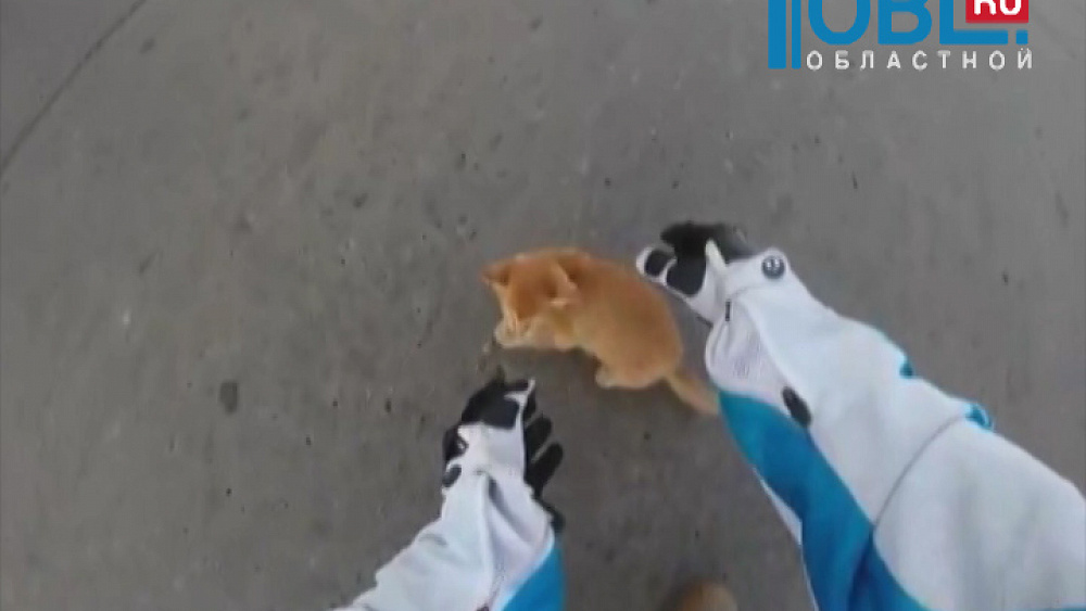 Обзор интернета от 21.10.2015