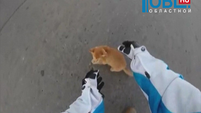 Обзор интернета от 21.10.2015