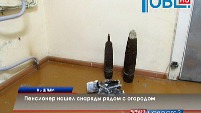 Пенсионер нашел снаряды рядом с огородом