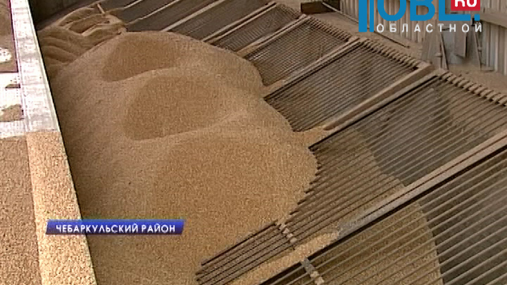 Хлеб в Челябинской области станет вкуснее благодаря элитной пшенице