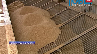 Хлеб в Челябинской области станет вкуснее благодаря элитной пшенице