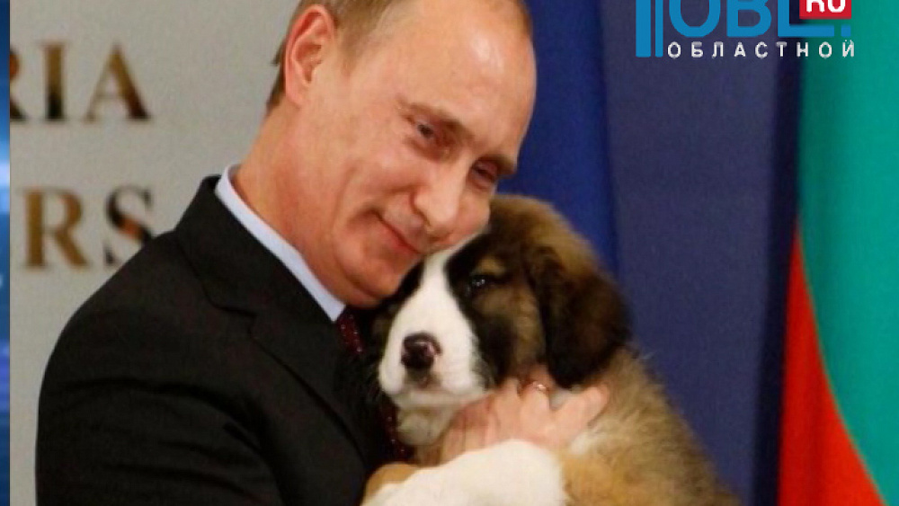 Обзор интернета от 07.10.2015