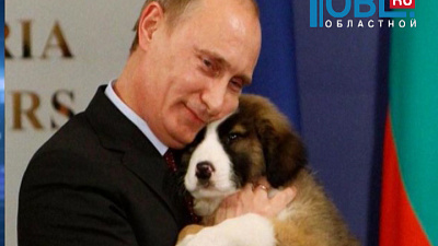 Обзор интернета от 07.10.2015