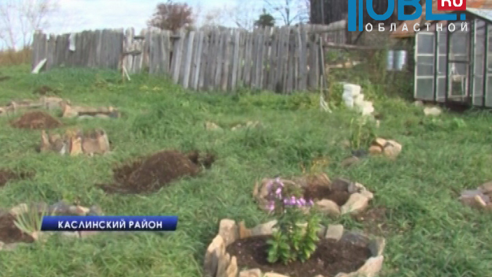 Садоводы подарили монастырю саженцы фруктовых деревьев