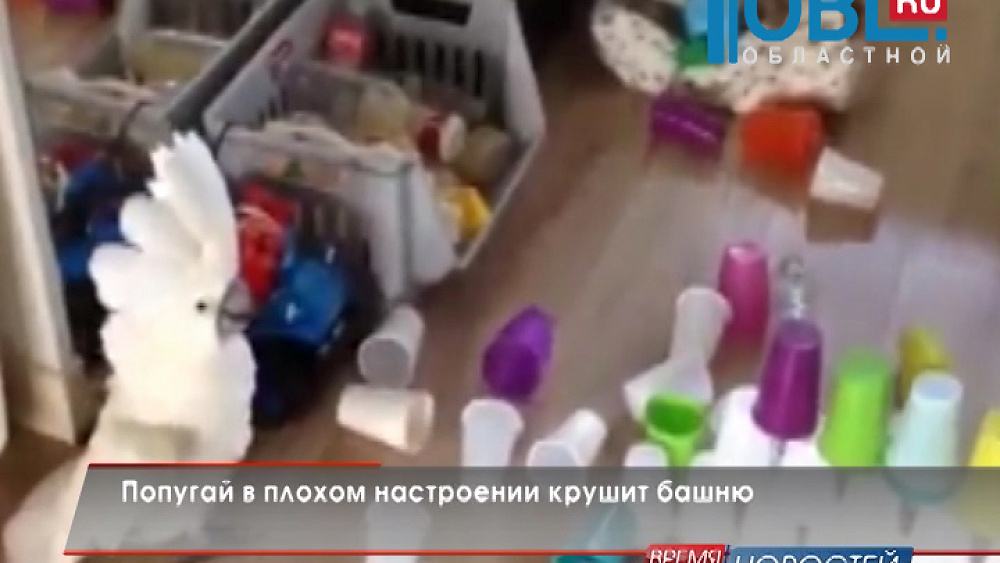 Обзор интернета от 29.09.2015