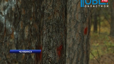 Челябинские энергетики готовятся к санитарной рубке деревьев в городском бору