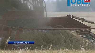 С новой техникой агрохолдинг "Равис" ускорил темпы уборки в полтора раза