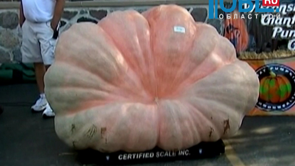 Обзор интернета от 23.09.2015