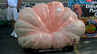 Обзор интернета от 23.09.2015